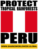 PTR PERU V2 T