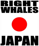RIGHW JPN M