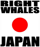 RIGHW JPN M