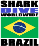 SHARKD BRA V1 M