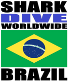 SHARKD BRA V1 M