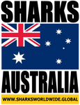 SHARKS AUST V2 T