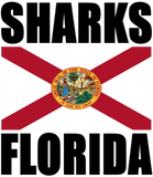 SHARKS FL M