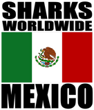 SWW MEX T