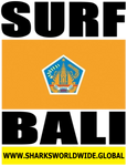 SURF BALI V2 T