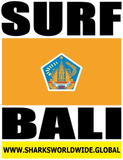 SURF BALI V2 T