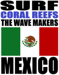 SFCR TWM MEX T