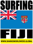 SFNG FIJI V2 T