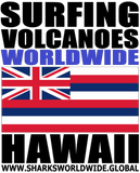 SFNGVOL WW HI M
