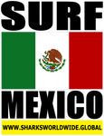 SURF MEX V2 M