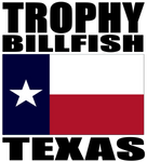 TBILL TX V2 M