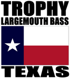 TLMB TX V2 T