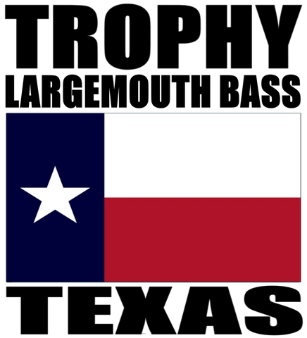 TLMB TX V2 T