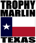 TMAR TX V2 T