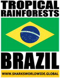 TR BRA V2 M