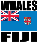 WHALES FIJI M