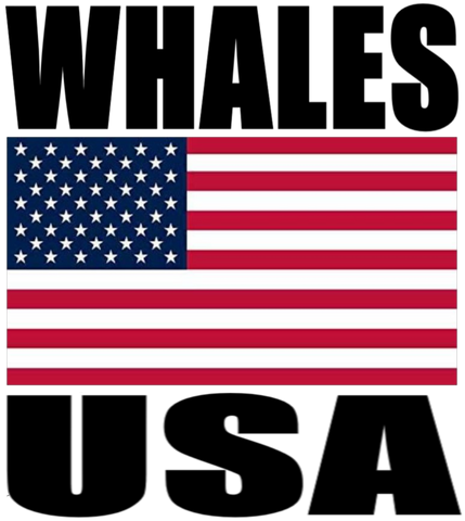 WHALES USA M