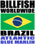 BWW ABLUM BRA V1A H