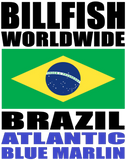 BWW ABLUM BRA V1A H