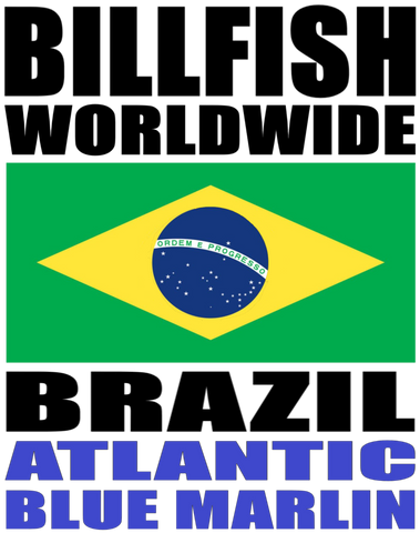 BWW ABLUM BRA V1A H