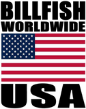 BWW2 USA VI PILLOW