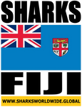 SHARKS FIJI V2 F/R T