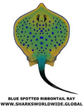 B S RIBBONTAIL RAY V2 M