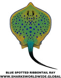 B S RIBBONTAIL RAY V2 M