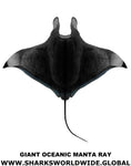 G OCEANIC MANTA V2 M