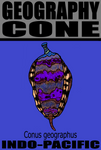 GEO CONE M
