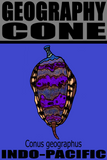 GEO CONE M