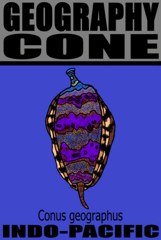 GEO CONE M