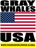 GRAYW USA V2 T