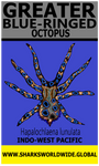 GBR OCTOPUS V2 T