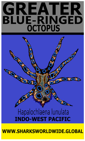 GBR OCTOPUS V2 M