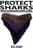 PSKT BULL C