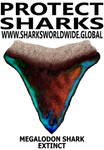 PSKT MEGA C