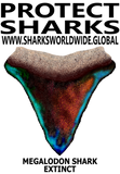 PSKT MEGA C