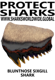 PSKT BNSG S