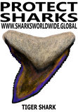 PSKT TS V1 TT
