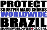 LP SFM WW BRA M