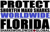 LP SFM WW FL T