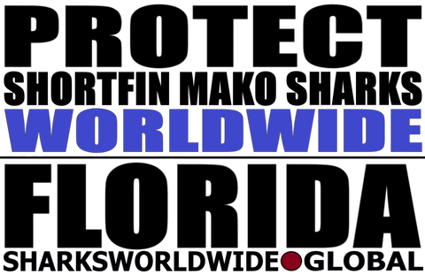 LP SFM WW FL T