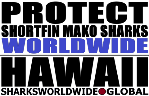 LP SFM WW HI M