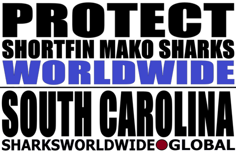 LP SFM WW SC T