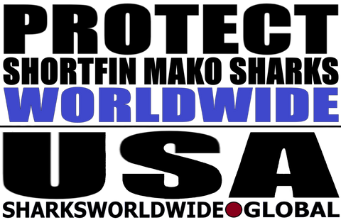 LP SFM WW USA T