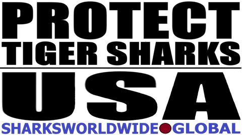 LP TS SWWG USA T