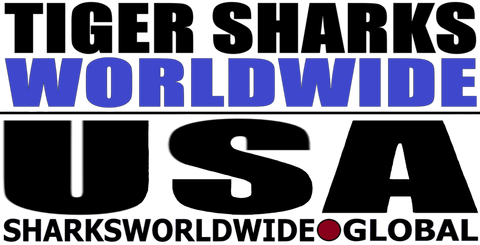 L TSWW USA H