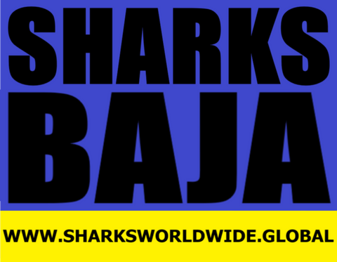 L SHBLUE BAJA T