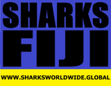 L SHBLUE FIJI H